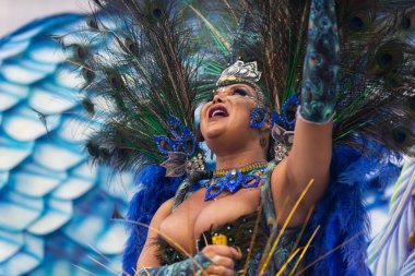 2019 Karnavalı - Unidos da Tijuca