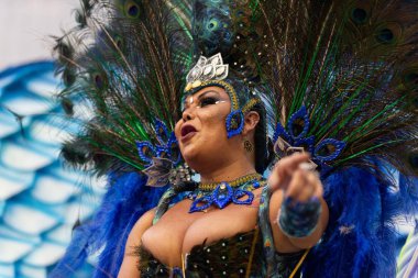 2019 Karnavalı - Unidos da Tijuca