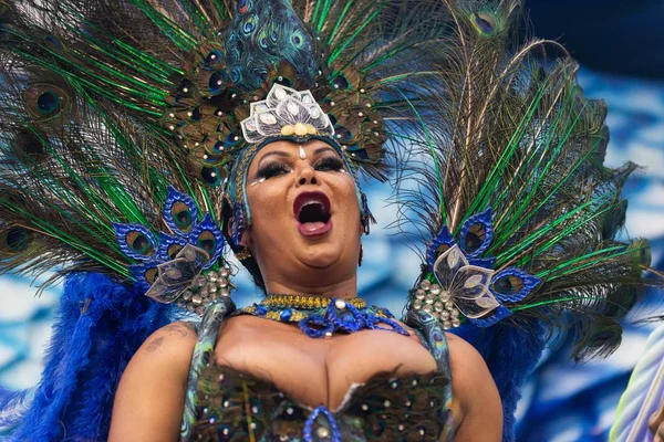 Carnival 2019 - Unidos da Tijuca — стоковое фото