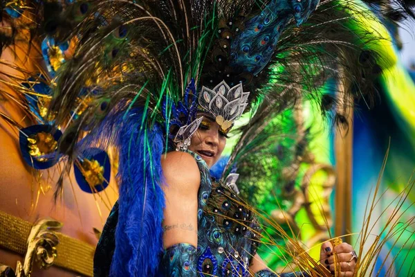 Karneval 2019 - unidos da tijuca — Stockfoto