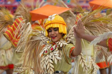 2019 Karnavalı - Unidos da Tijuca