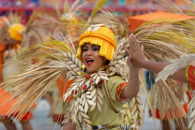 2019 Karnavalı - Unidos da Tijuca