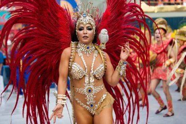 2019 Karnavalı - Unidos da Tijuca