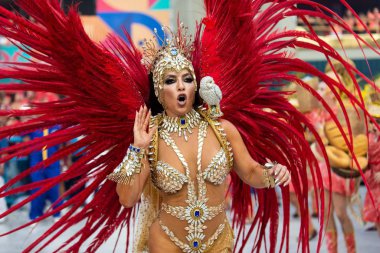 2019 Karnavalı - Unidos da Tijuca