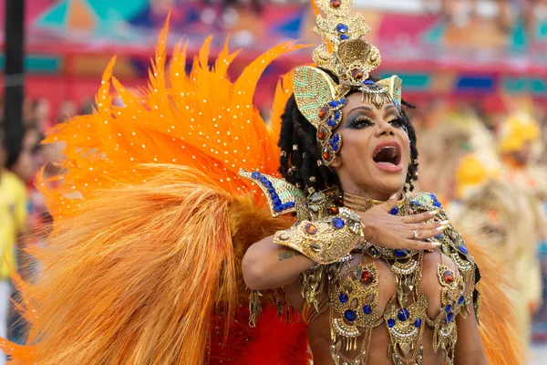 Carnaval 2019 - Unidos da Tijuca — Fotografia de Stock