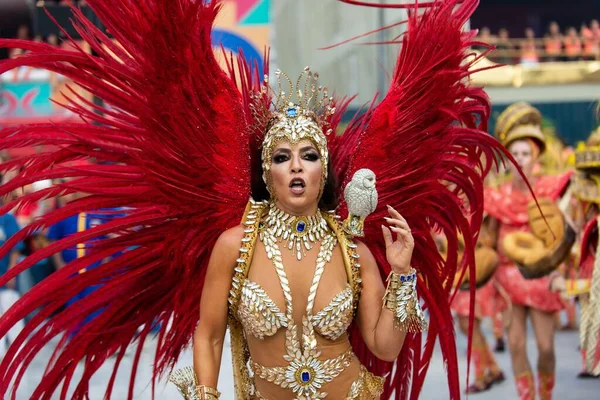 Carnevale 2019 - Unidos da Tijuca — Foto Stock