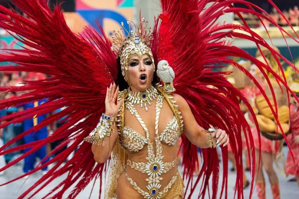 Carnaval 2019 - Unidos da Tijuca — Fotografia de Stock