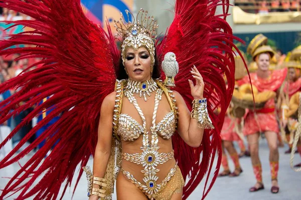 Carnival 2019 - Unidos da Tijuca — стоковое фото