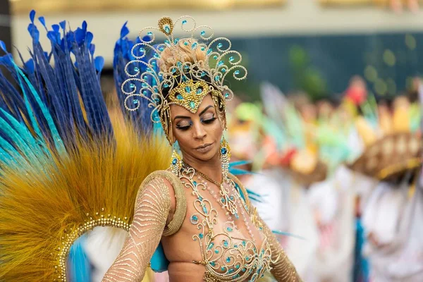 Karneval 2019 - unidos da tijuca — Stockfoto
