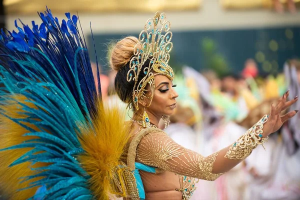 Carnaval 2019 - Unidos da Tijuca — Fotografia de Stock