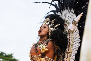 2019 Karnavalı - Unidos da Tijuca