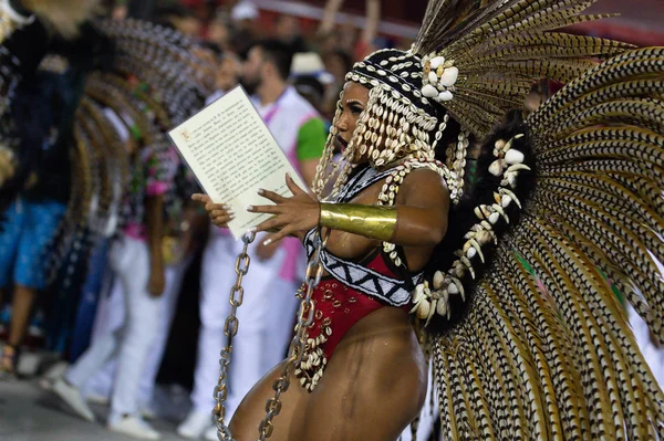 Carnaval 2019 - Mangueira — Fotografia de Stock