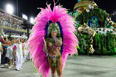 Karnaval 2019 - Mangueira