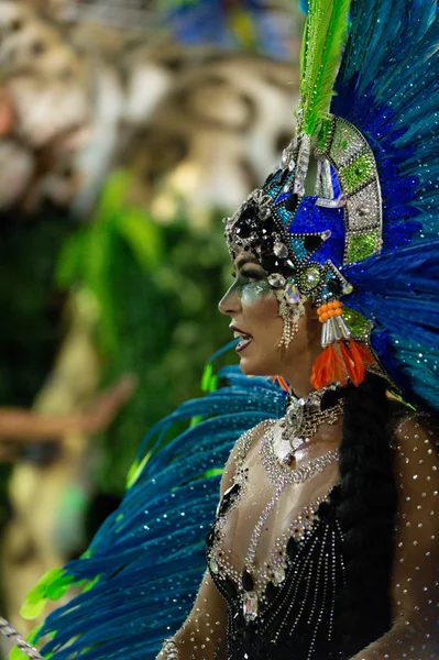 Karneval 2019 - Mangueira — Stock fotografie