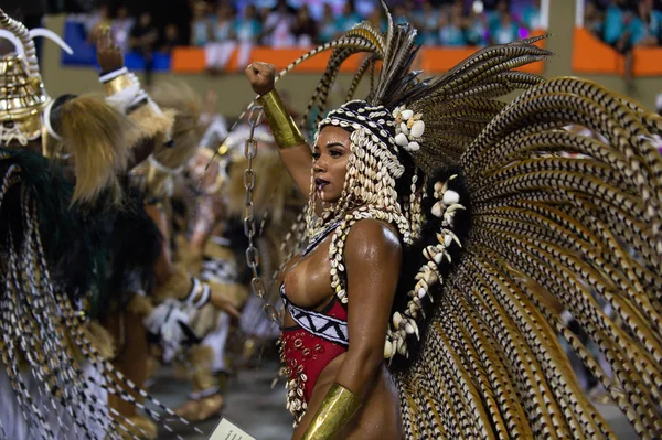 Carnaval 2019 - Mangueira — Foto de Stock