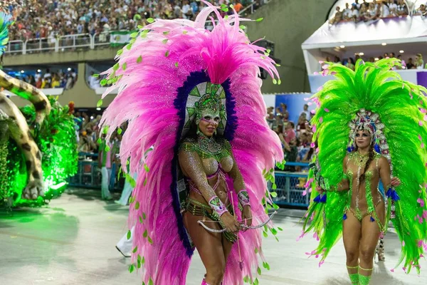 Carnival 2019 - Mangueira — стокове фото