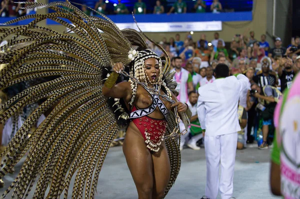 Rio Brasil Março 2019 Mangueira Durante Carnaval Escola Samba 2019 — Fotografia de Stock