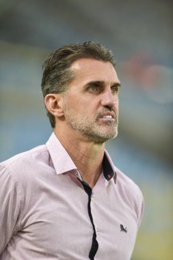 Rio, Brazil - november 05, 2017: Vagner Mancini coach in match between Vasco and Vitoria by the Brazilian Championship in Maracana Stadium