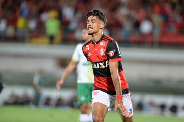 Rio, Brazil - september 20, 2017: Lucas Paqueta player in match between Flamengo and  Chapecoense by the Sulamericana Cup 2017 in Ilha do Urubu Stadium