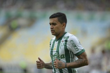 Rio, Brazil - september 24, 2017: xxxxxxx player in match between Fluminense and  Palmeiras by the Brazilian championship in Maracana Stadium