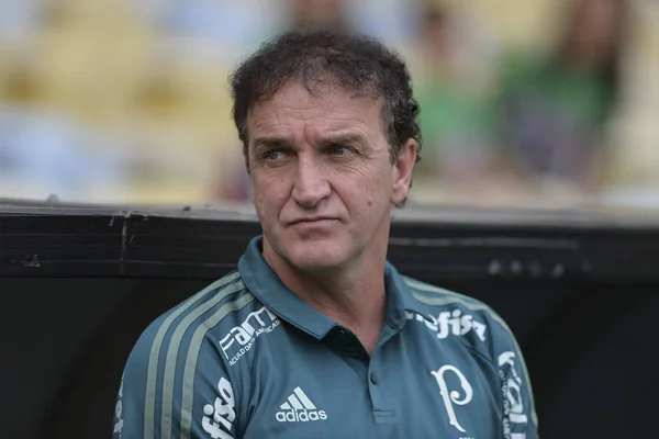 Rio Brazil September 2017 Cuca Coach Match Fluminense Palmeiras Brazilian — Stok fotoğraf