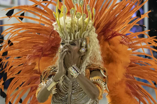 Rio Brazil February 2020 Parade Samba School Unidos Porto Pedra — стокове фото