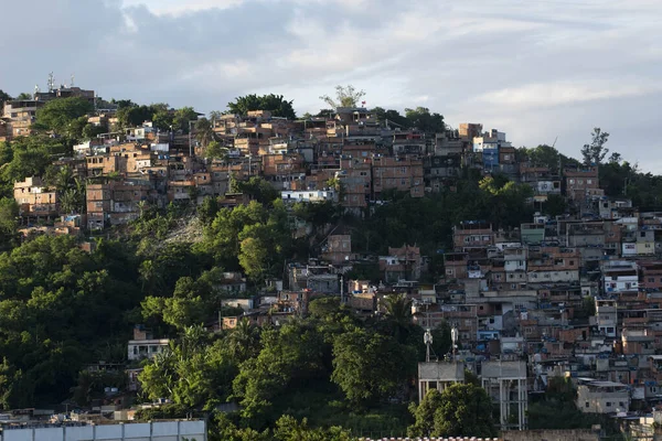 Rio Janeiro Brazilië Maart 2020 Zicht Gemeente Mangueira Een Zeer — Stockfoto