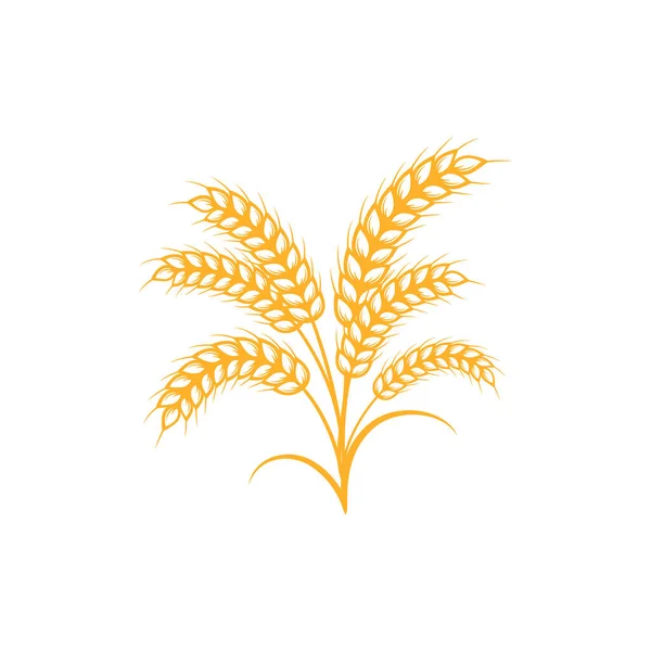 Wheat, Barley 또는 Rye 벡터 그래픽 아이콘. — 스톡 벡터