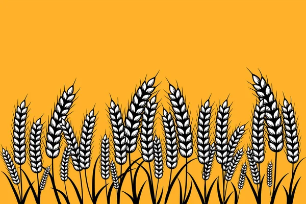 小麦、大麦、ライ麦のフィールドベクトルの視覚的なイラスト. — ストックベクタ