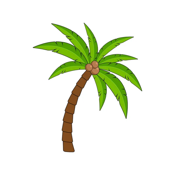 Palm tree isolated on white background. Vector illustration. — Stock Vector