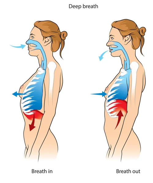 Diepe ademhaling afbeelding — Stockvector