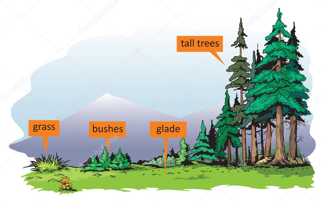 The illustration shows different density and height of plants in nature.