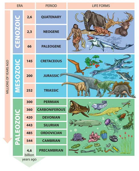 Illustration Geological Time Scale Periods — Stock Vector