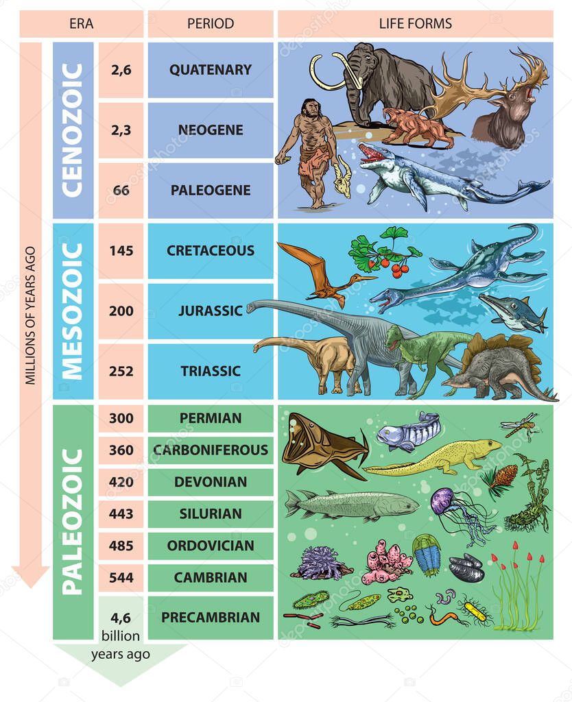 Illustration of geological time scale - periods.