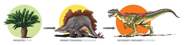 Cartoon Style Illustration Shows Example Mesozoic Food Chain — Stock Vector