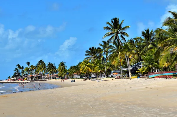 Кокосовые деревья на берегу моря в солнечный день и голубое небо на пляже Порто Сегуро, Бахия, Бразилия — стоковое фото