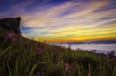 Manzara ışık sabah güneş sis Phu chee SK Chiang Rai, Tayland tarihinde.