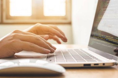 Programcılar yazılım geliştiricisi veya web sitesi olarak çalışıyorlar