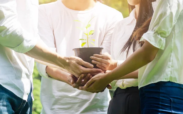 Gruppo Volontariato Beneficenza Persone Ecologia Con Germoglio Crescita — Foto Stock