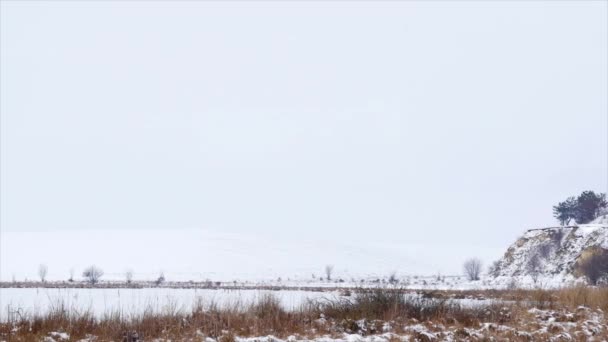 冬、雪、景観 — ストック動画