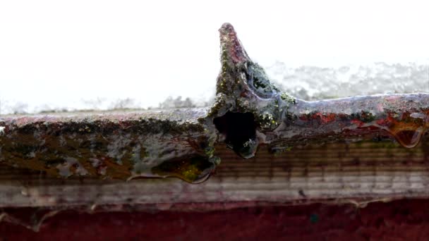 Close Up sněhu kape ze střechy — Stock video