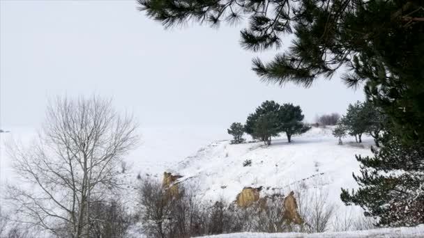 冬雪、山水 — 图库视频影像