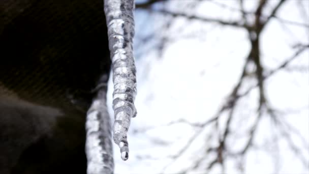 Close Up Icicli di fusione — Video Stock