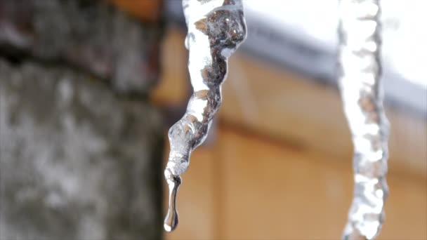 Close Up Icicli di fusione — Video Stock