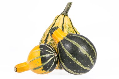 Sebze kabak dekoratif beyaz arka plan üzerinde izole