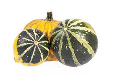 Sebze kabak dekoratif beyaz arka plan üzerinde izole