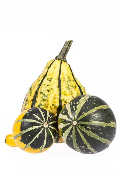 Ortaggi di zucca decorativi isolati su sfondo bianco — Foto Stock