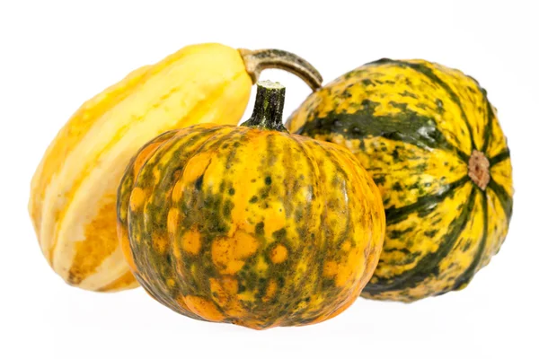 Sebze kabak dekoratif beyaz arka plan üzerinde izole