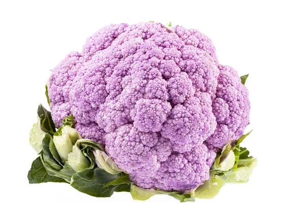 Pink cauliflower isolated on white background — Stock Photo, Image