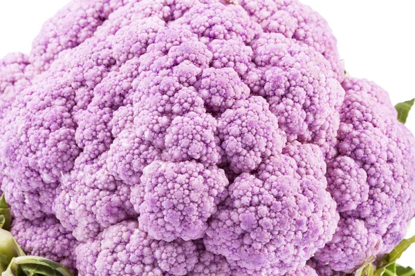 Pink cauliflower isolated on white background, close up — Stock Photo, Image
